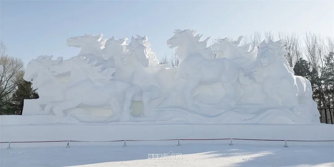 震撼!32米巨型雪雕八骏踏雪亮相太阳岛,八匹骏马踏破雪浪的磅礴气势令人惊叹 第7张 震撼!32米巨型雪雕八骏踏雪亮相太阳岛,八匹骏马踏破雪浪的磅礴气势令人惊叹 第7张