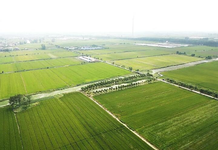 高邮市如何通过四大举措全面提升高标准农田建设质效？揭秘背后的成功之道  第2张