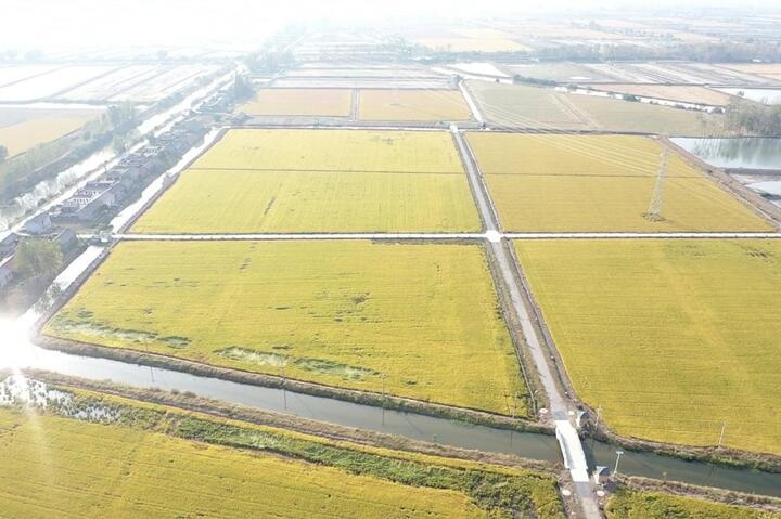 高邮市如何通过四大举措全面提升高标准农田建设质效？揭秘背后的成功之道  第3张