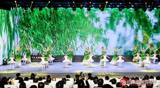 2025年临渭区迎新年文艺汇演：一场不容错过的视听盛宴，带你感受时代脉搏  第12张