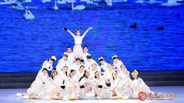 2025年临渭区迎新年文艺汇演：一场不容错过的视听盛宴，带你感受时代脉搏  第4张