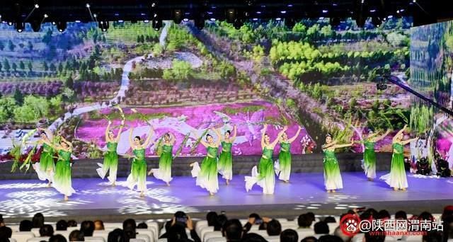 2025年临渭区迎新年文艺汇演：一场不容错过的视听盛宴，带你感受时代脉搏  第8张