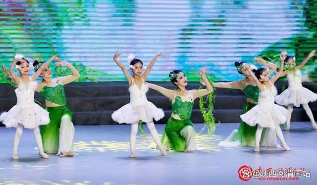 2025年临渭区迎新年文艺汇演：一场不容错过的视听盛宴，带你感受时代脉搏  第9张
