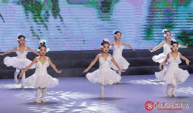 2025年临渭区迎新年文艺汇演：一场不容错过的视听盛宴，带你感受时代脉搏  第10张