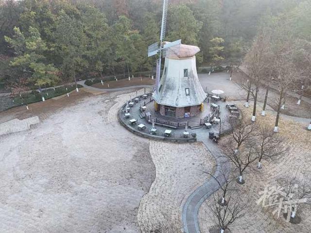 杭州今晨气温破冰点！西湖水域首次结冰，白霜如雪惊艳全城  第6张