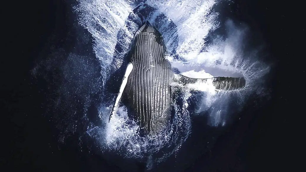 全球海洋变暖速度翻倍！2024年海洋温度创新高，地球气候将何去何从？  第1张