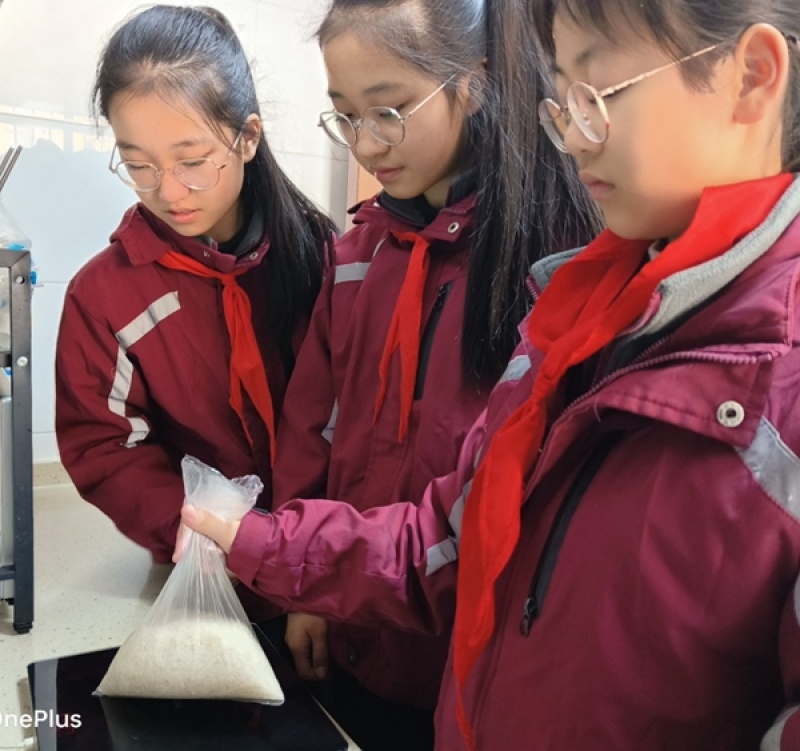 深秋稻浪摇曳，海门港实验小学的孩子们如何体验丰收的喜悦？  第2张