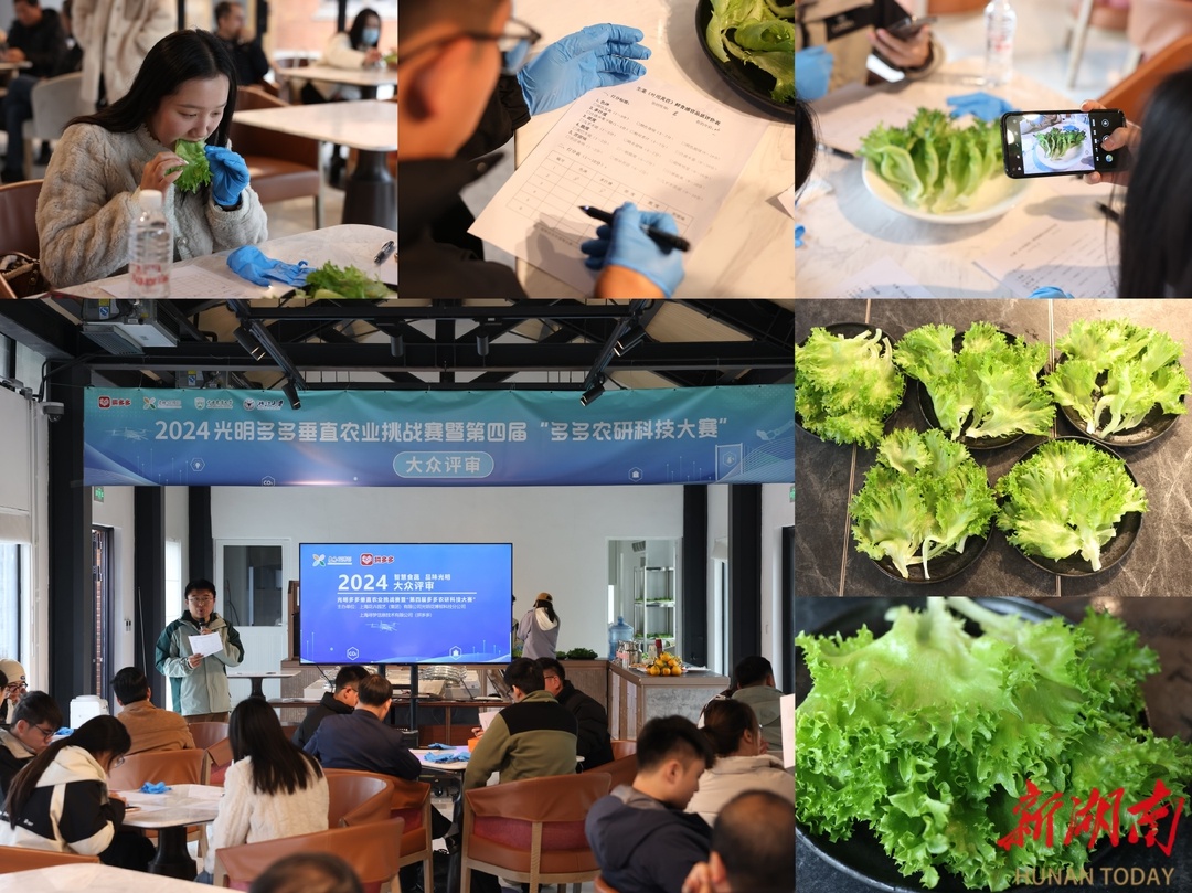 AI种菜新革命：手机操控集装箱农田，未来农业真的能赚钱吗？  第3张