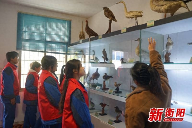 探秘衡南江口鸟类标本陈列馆：30名青年学生如何通过300件标本增强环保意识？  第1张