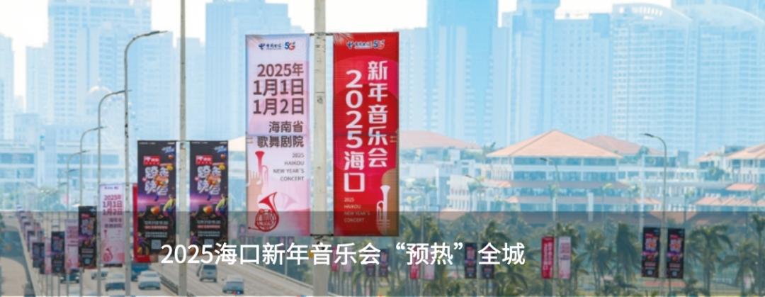 2025年琼州海峡春运新航线曝光！提前购票攻略大揭秘，错过再等一年  第3张