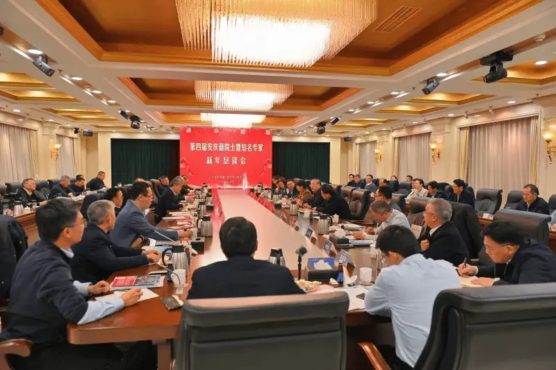 第四届安庆籍院士恳谈会：智汇双生，创赢未来，安庆高质量发展再添新动力  第1张