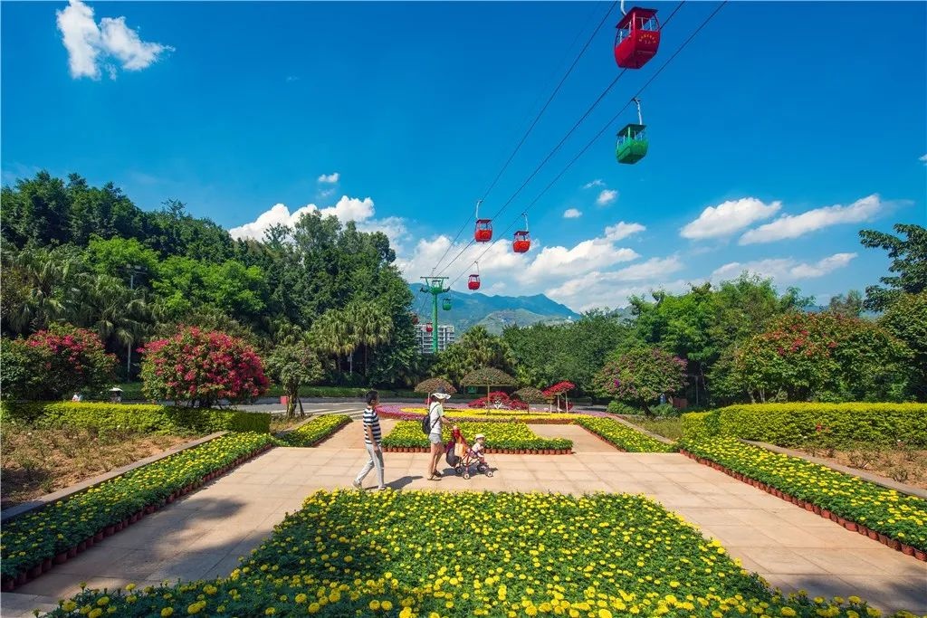 【独家揭秘】攀枝花公园如何从闲置资产到城市IP的华丽蜕变？  第2张