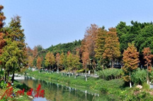 元旦广州天气大反转：从温暖如春到寒潮突袭，你准备好了吗？  第1张