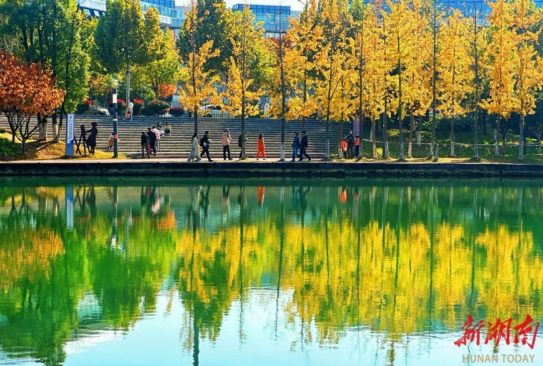 长沙隐藏的艺术绿洲：后湖国际艺术区，周末必去的文艺打卡地