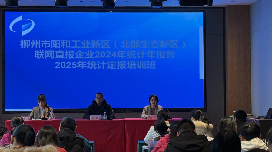 阳和工业新区2024年统计年报培训会隆重召开，200余名统计工作者共襄盛举  第3张