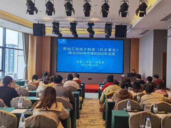 阳和工业新区2024年统计年报培训会隆重召开，200余名统计工作者共襄盛举  第6张