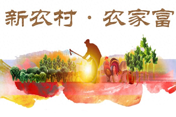 冬季草莓如何避免畸形？掌握这3大关键温度控制技巧  第1张