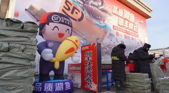 揭秘吉林查干湖冬捕：人工凿冰、马拉绞盘，10万公斤鲜鱼如何游向全国餐桌？  第3张