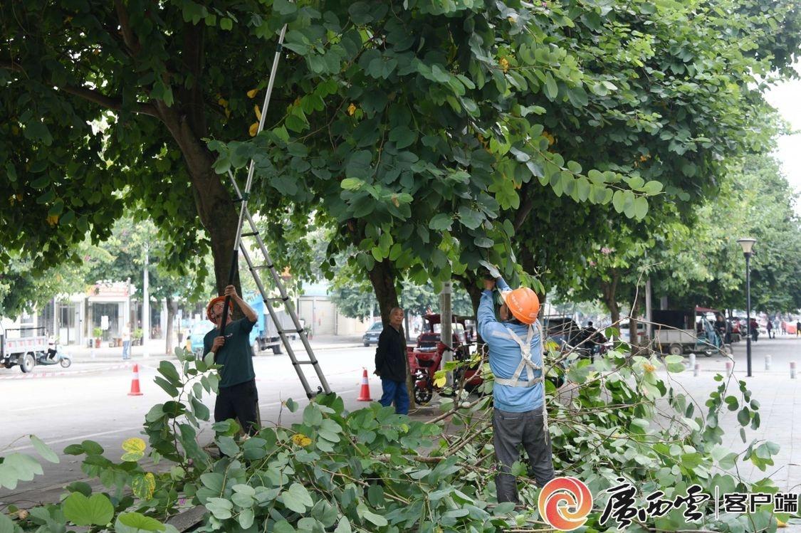 40 周年县庆前夕，罗城仫佬族自治县变身美丽家园  第3张