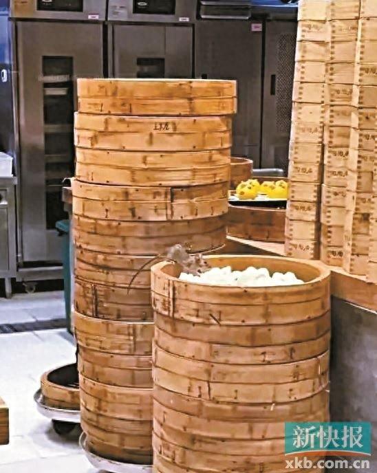 陶陶居竟被老鼠光顾，食客拍下恶心一幕