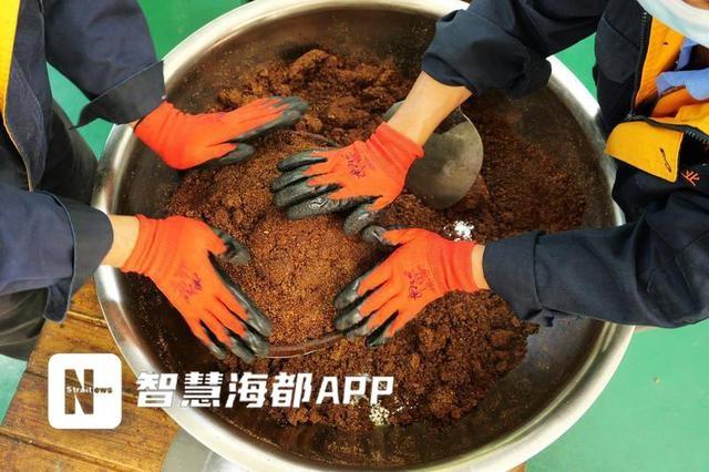 霜降已过，永泰茶籽饱满，今年产量翻倍，你还不快来尝尝？  第6张