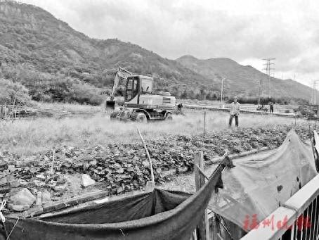 福清龙山街道违建养殖场拆除，环境改善获村民一致好评  第1张