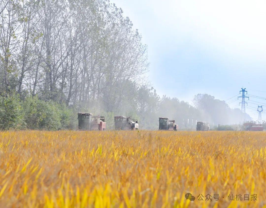 90 后高管返乡当农二代，3 年打造全国最大稻虾鳝生态养殖基地  第2张