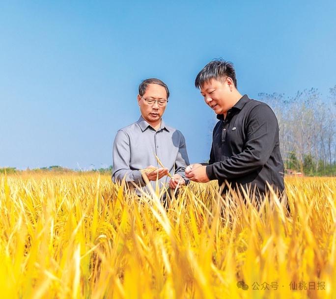 90 后高管返乡当农二代，3 年打造全国最大稻虾鳝生态养殖基地  第4张