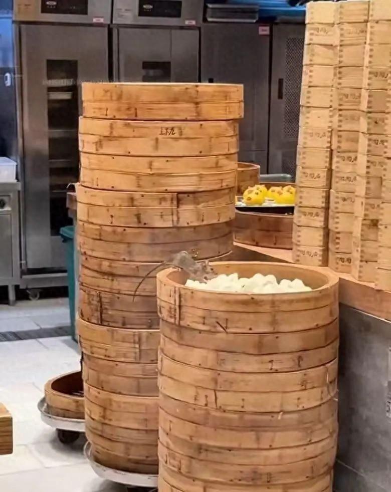 老鼠啃食叉烧包？陶陶居后厨卫生引担忧  第1张