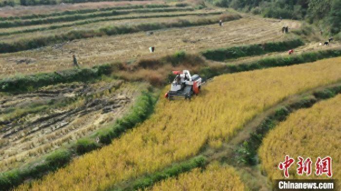 研究生毕业，她为何放弃稳定工作，选择扎根大地搞生态农业？