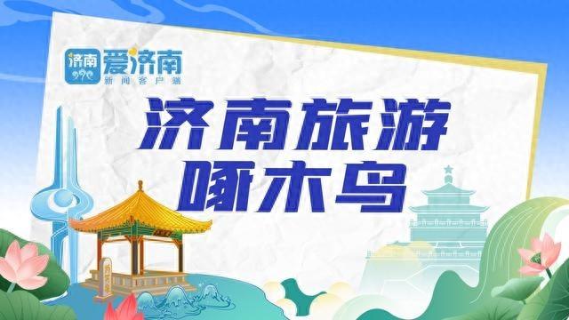 2024 年旅游市场秩序专项整治行动，这些坑你踩过吗？  第1张
