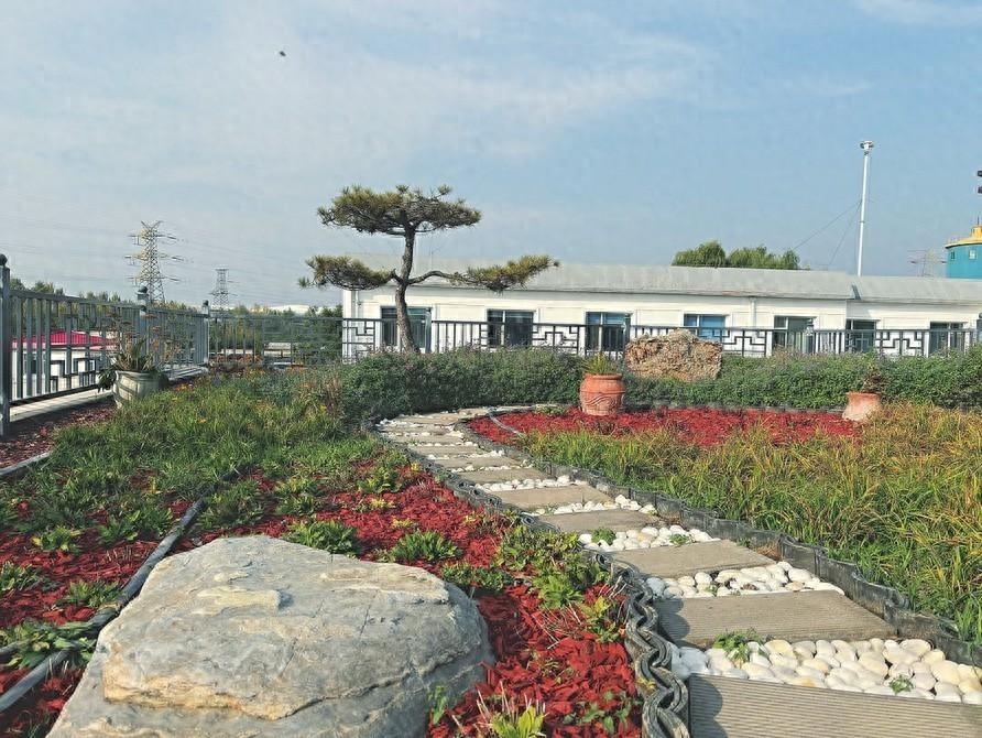 屋顶花园：钢筋水泥中的隐逸桃源，让你感受自然的浪漫与温暖  第1张