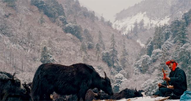 清道夫首映礼：梅里雪山下的绝美爱情与环保守护  第5张