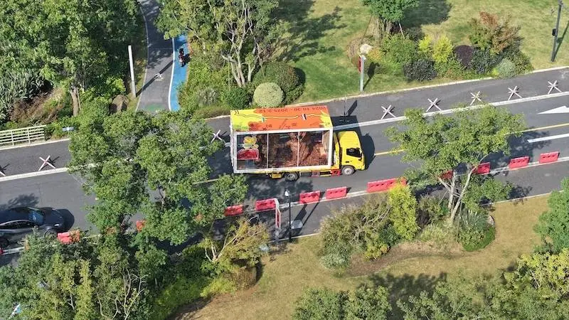 两只落叶兔竟一路西行 2670 公里，只为这场美丽行动  第2张