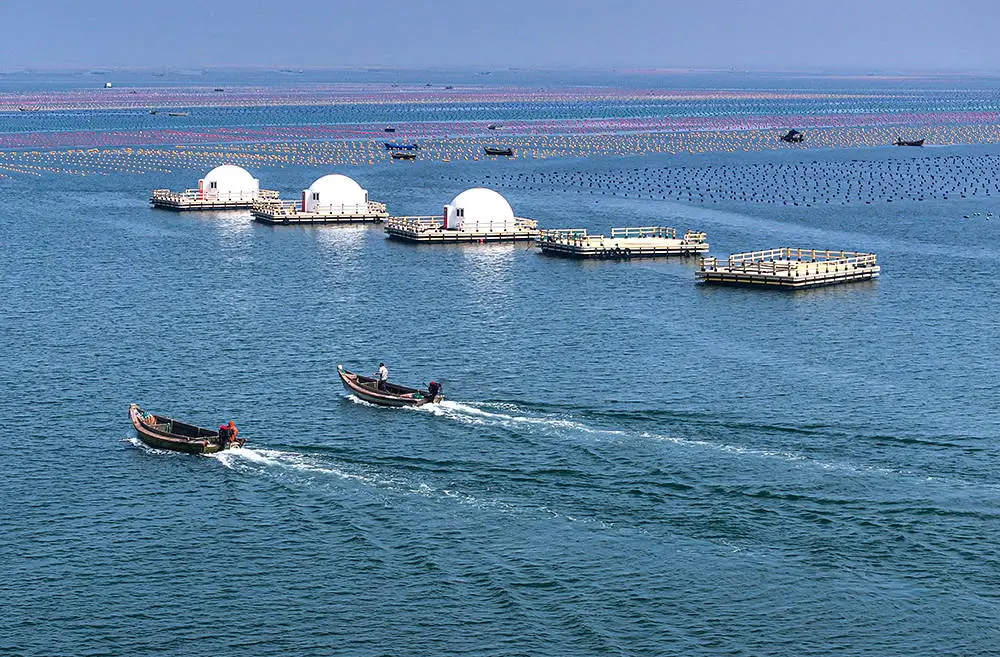 2023 年中国海洋经济发展指数增长 3.0%，海洋经济发展稳中有进
