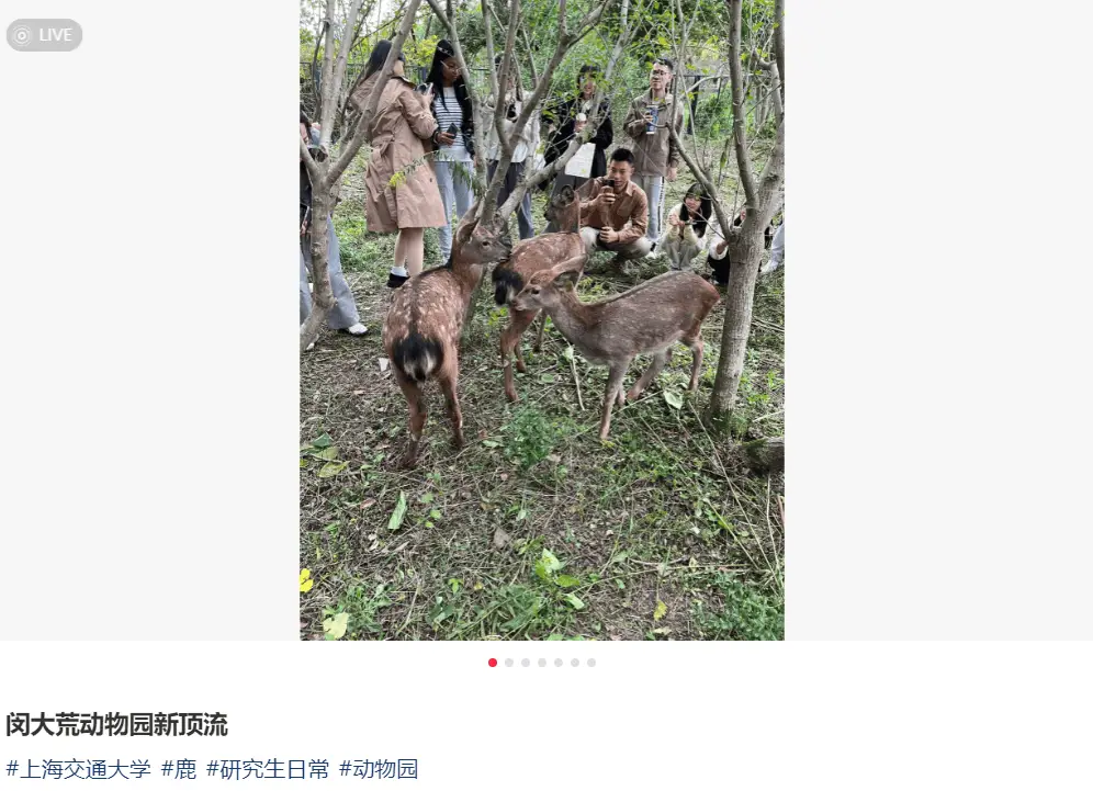 上海交大迎来 3 只新住客，它们竟然是  第1张