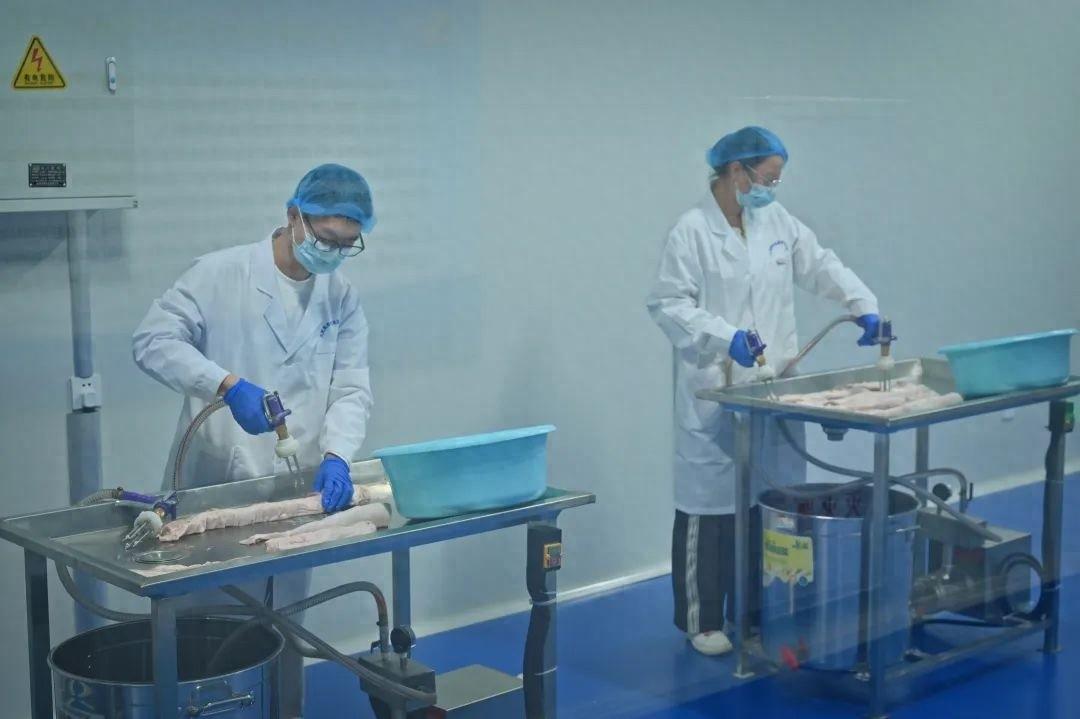 大武夷绿色食品研发中心：破解农产品深加工难题的新希望