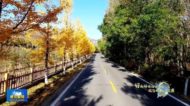 霜叶红于二月花！近 30 万亩彩叶林进入最佳观赏期，错过等一年  第6张