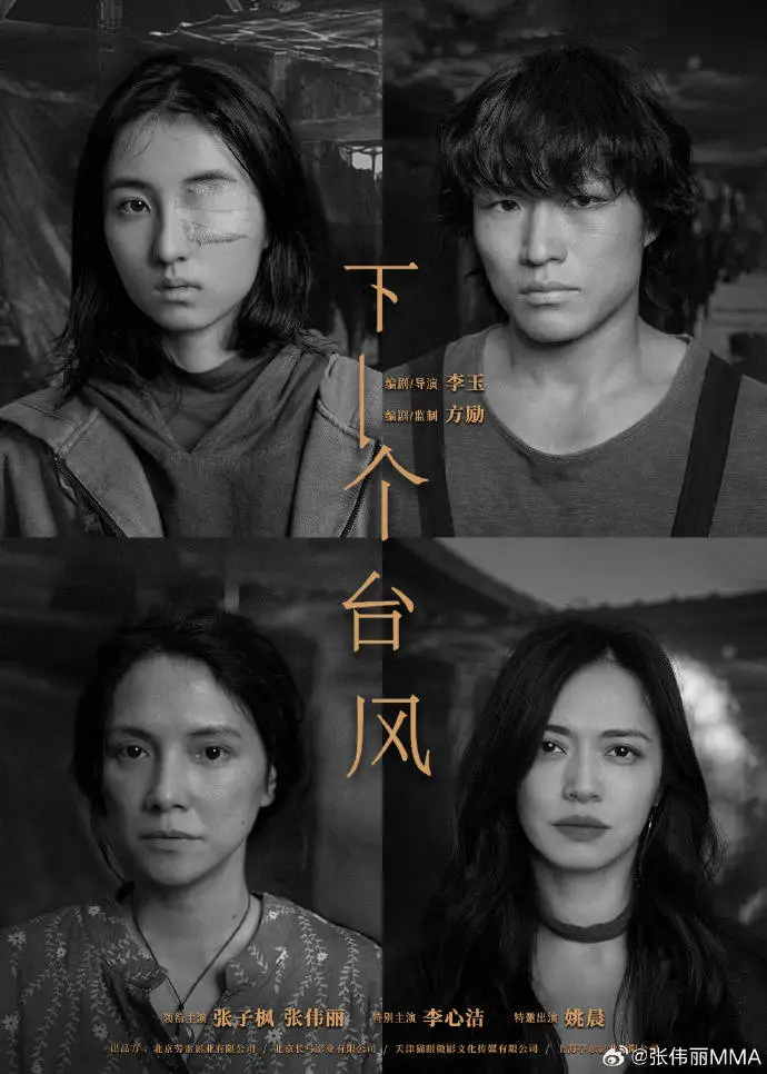 张伟丽的太不容易：从失去腰带到夺回，她经历了什么？  第1张
