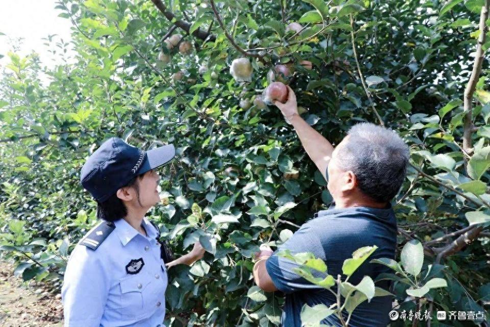 秋收季，临清公安如何全力护航？  第1张