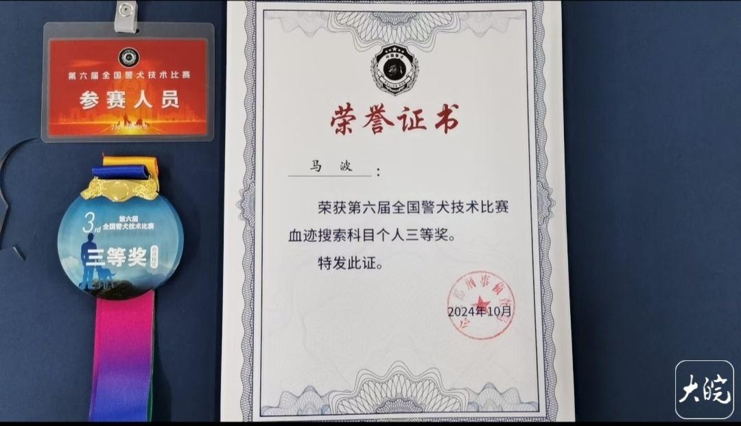 100 分！淮北警犬 summer 荣获全国警犬技术比赛血迹搜索科目三等奖  第2张