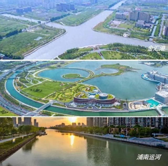 走进奉贤，探寻湿意秘境：40.7 公里海塘背后的湿地生态空间  第1张