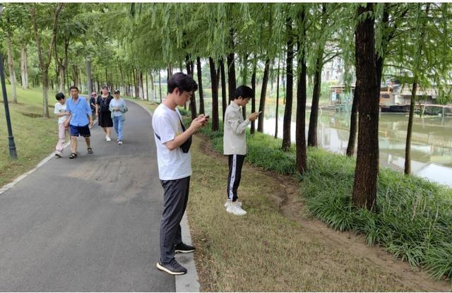 走进奉贤，探寻湿意秘境：40.7 公里海塘背后的湿地生态空间  第2张