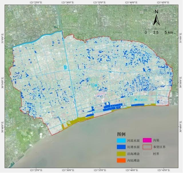 走进奉贤，探寻湿意秘境：40.7 公里海塘背后的湿地生态空间  第3张