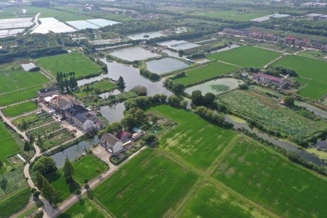 走进奉贤，探寻湿意秘境：40.7 公里海塘背后的湿地生态空间  第7张