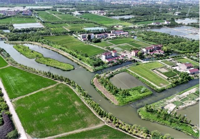 走进奉贤，探寻湿意秘境：40.7 公里海塘背后的湿地生态空间  第9张