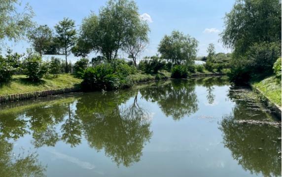 走进奉贤，探寻湿意秘境：40.7 公里海塘背后的湿地生态空间  第10张