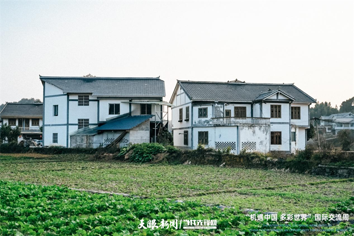 从贫困村到美丽乡村，花茂村的脱贫传奇让外国使节都惊叹  第1张