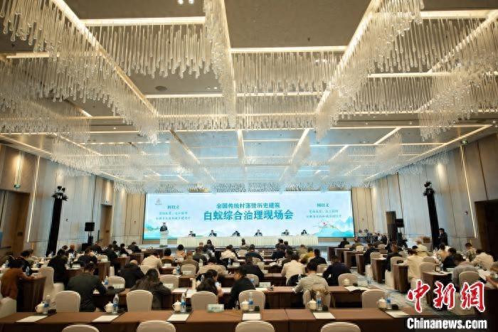 浙江 412 个白蚁危害严重村落蚁害治理率达 100%，他们是怎么做到的？  第1张