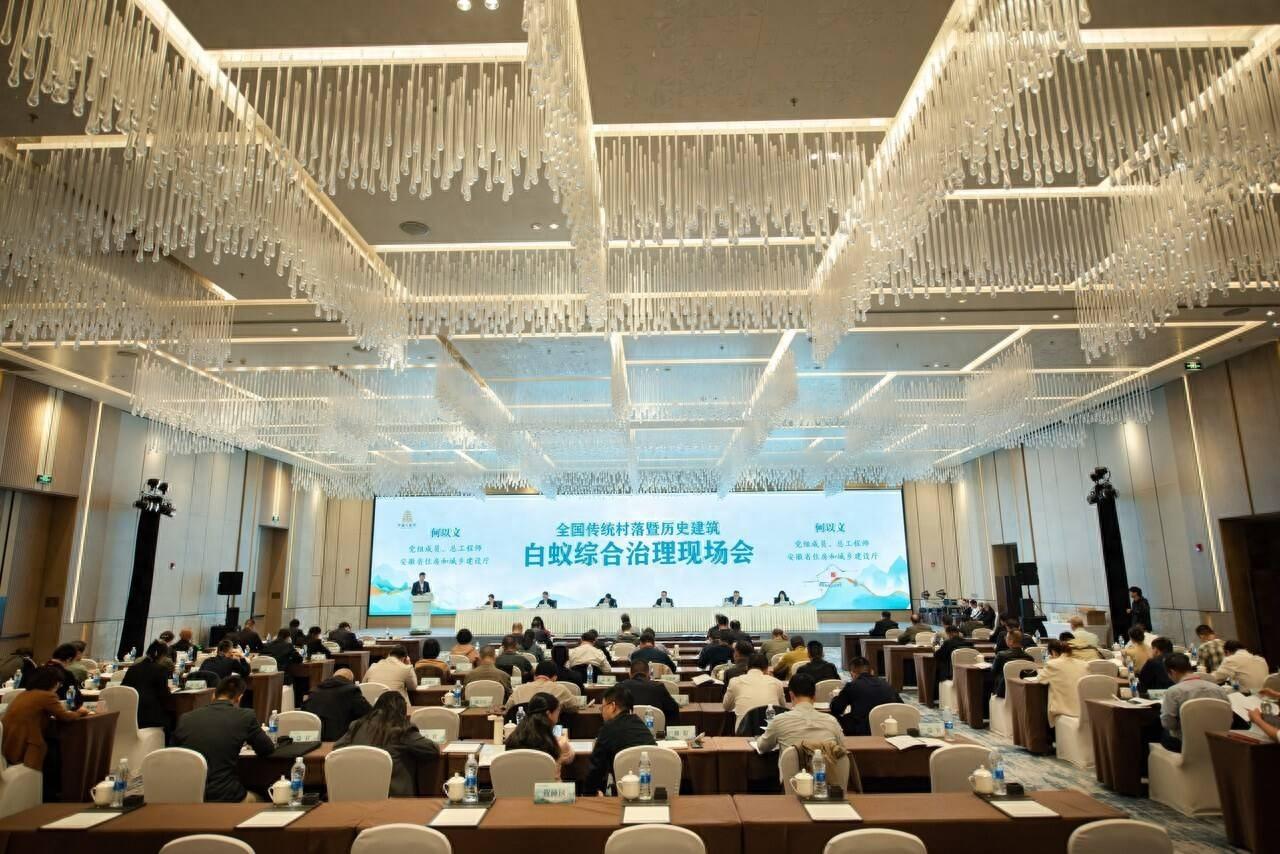 浙江启动一村三名白蚁综合治理工作，三年行动成果显著  第1张
